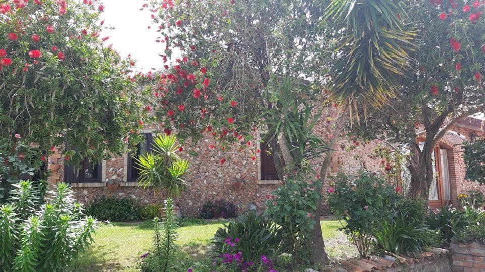 Agriturismo Pingitore Luzzi Экстерьер фото