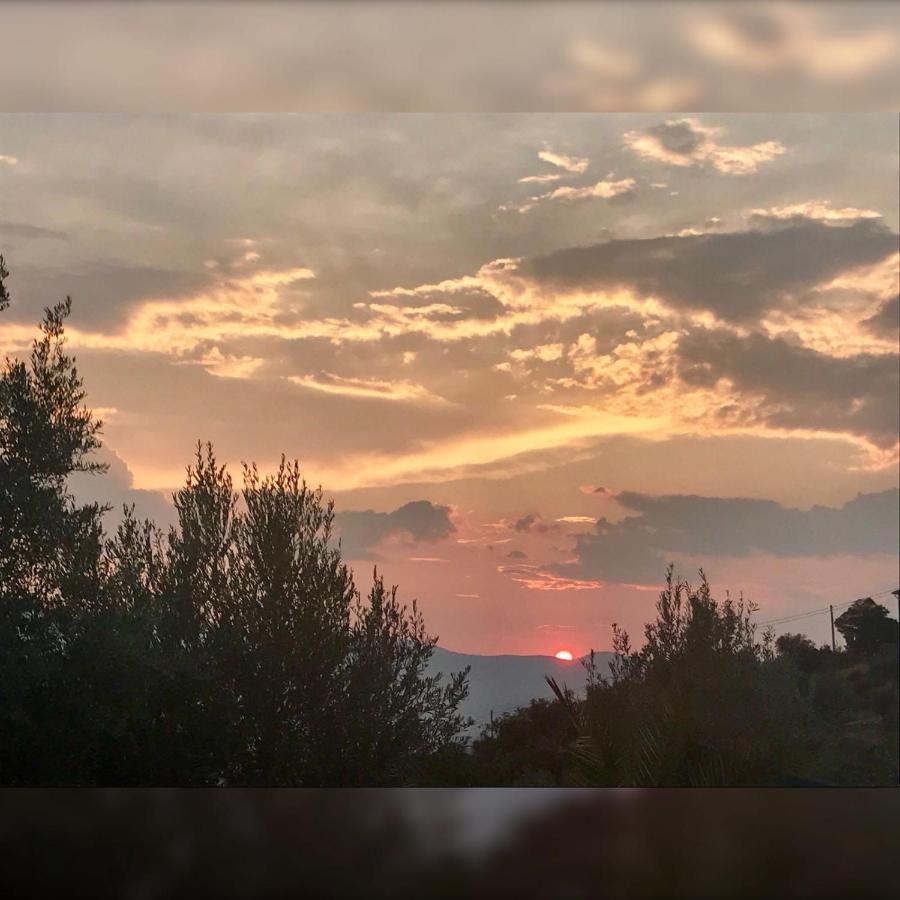 Agriturismo Pingitore Luzzi Экстерьер фото