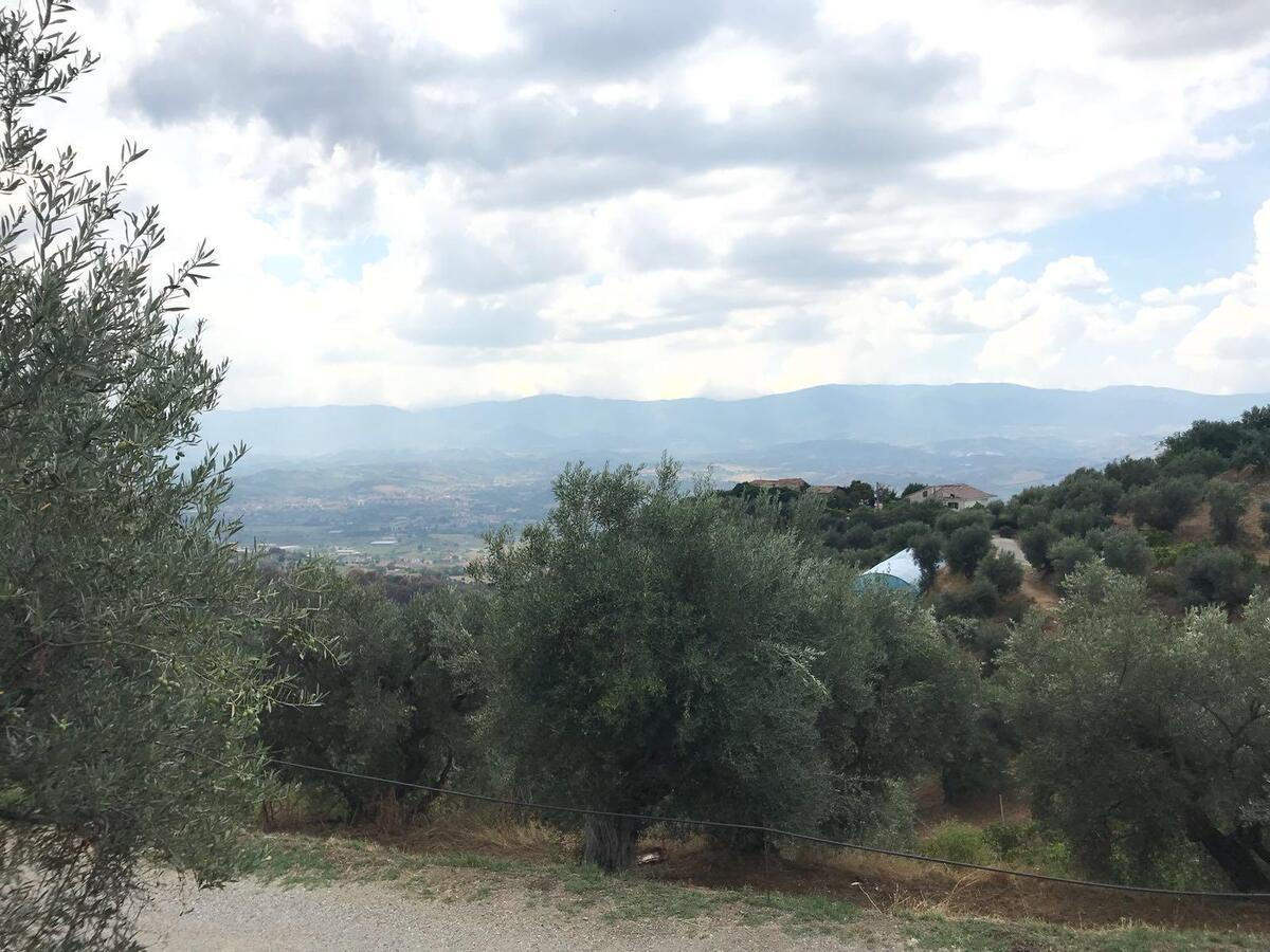 Agriturismo Pingitore Luzzi Экстерьер фото