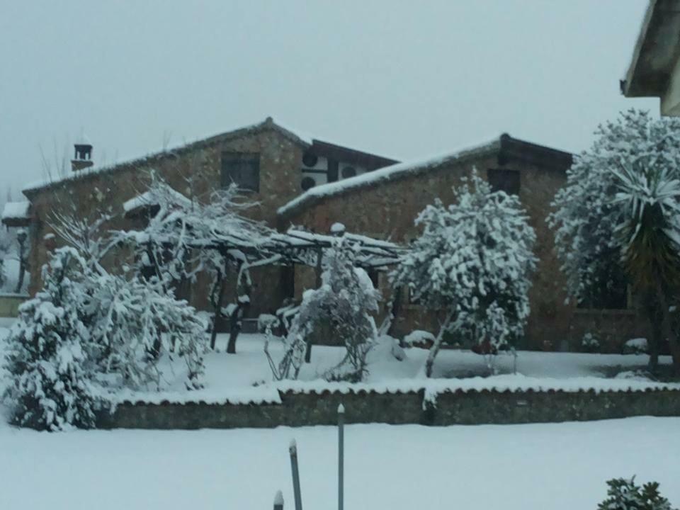Agriturismo Pingitore Luzzi Экстерьер фото